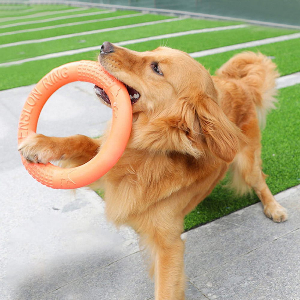 1pc Orange Dog Toys Pet Flying - Flying Disc Dog Training Toy ulasan dan harga