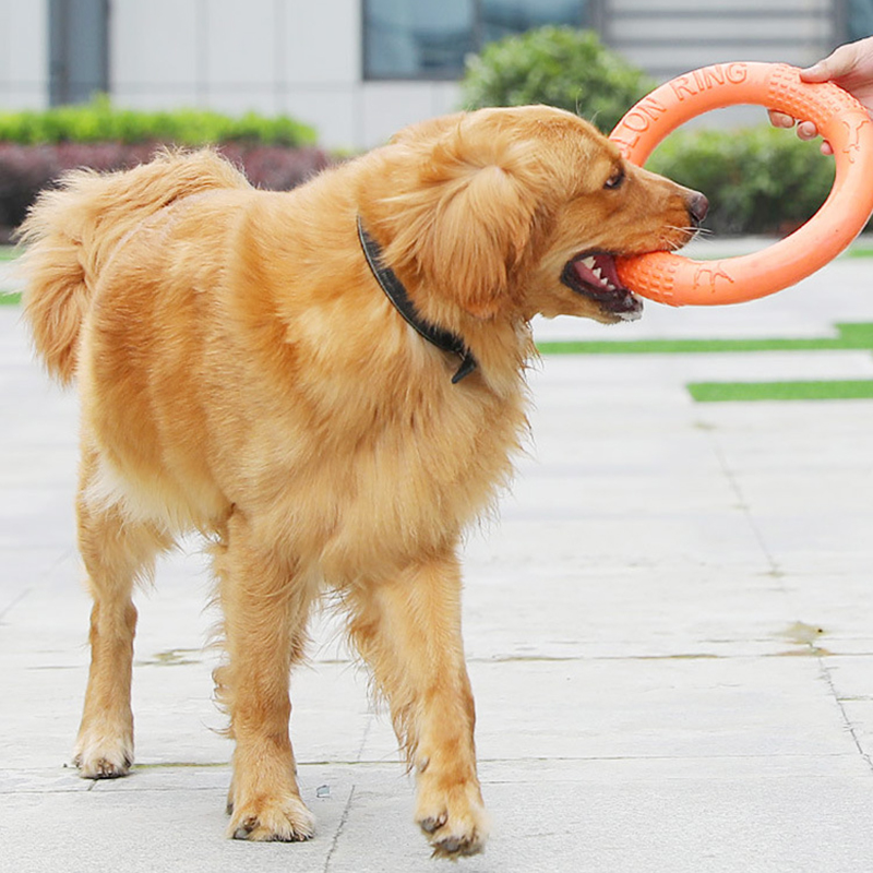 1pc Orange Dog Toys Pet Flying - Flying Disc Dog Training Toy ulasan dan harga