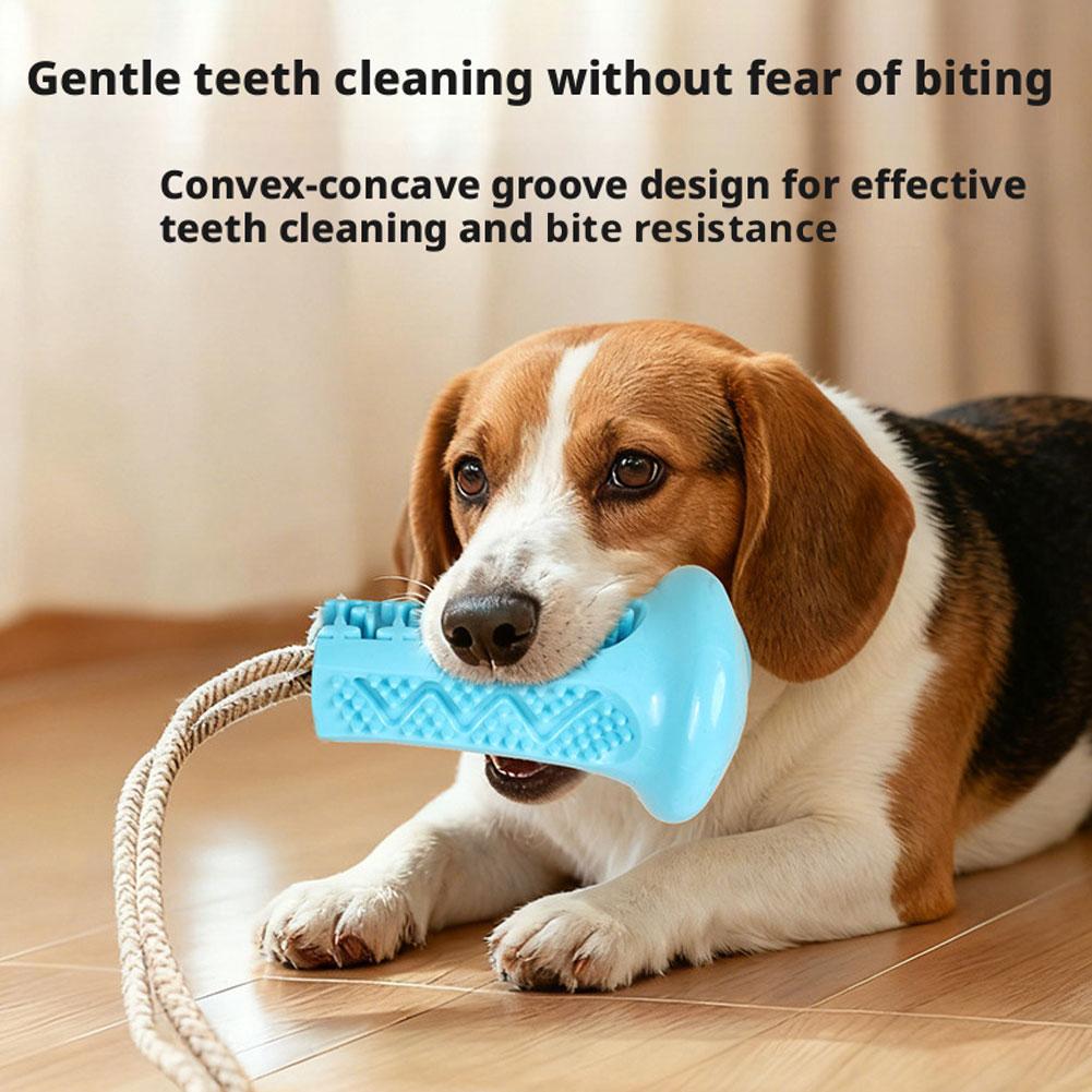 Suction Cup Dog Chew Toy Inter - Suction Cup Dog Tug Toy ulasan dan harga