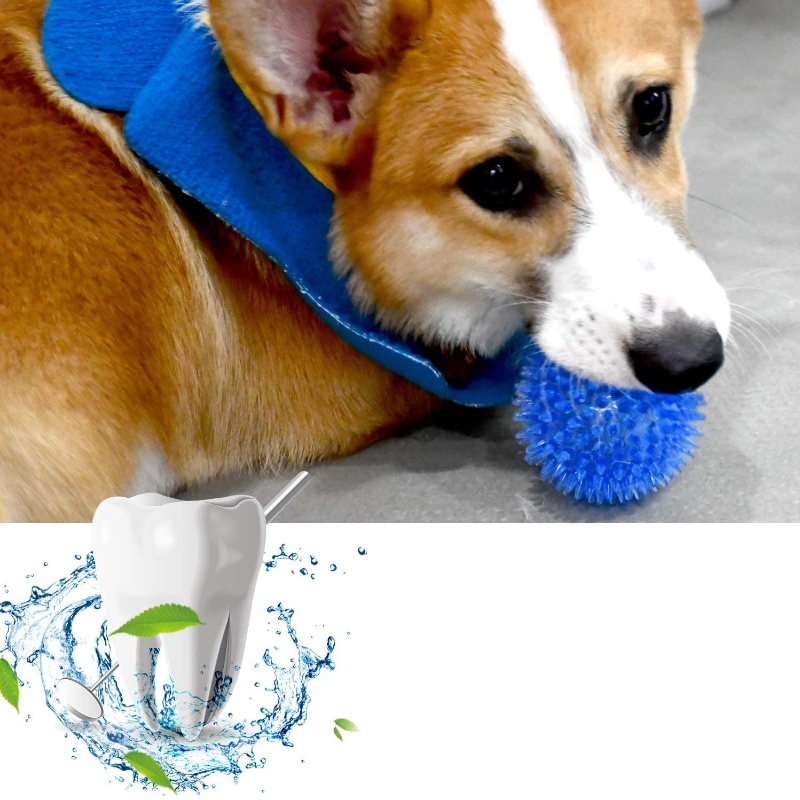 Pet Toy Ball for Cats And Dogs - Interactive Squeaky Plush Dog Toy ulasan dan harga