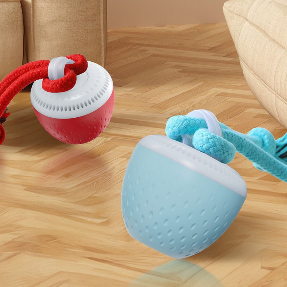 Bite Resistant Smart Pet Toy B - Automatic Moving Dog Ball ulasan dan harga