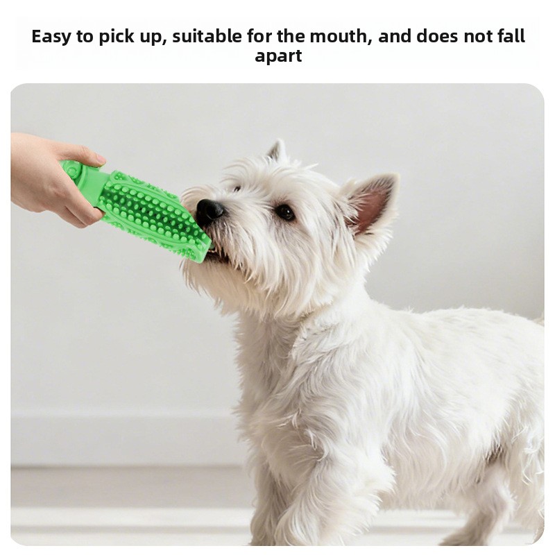 Dog Teeth Cleaning Chew Toy Su - Teeth Cleaning Dog Chew Bone ulasan dan harga