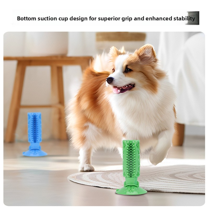 Dog Teeth Cleaning Chew Toy Su - Teeth Cleaning Dog Chew Bone ulasan dan harga