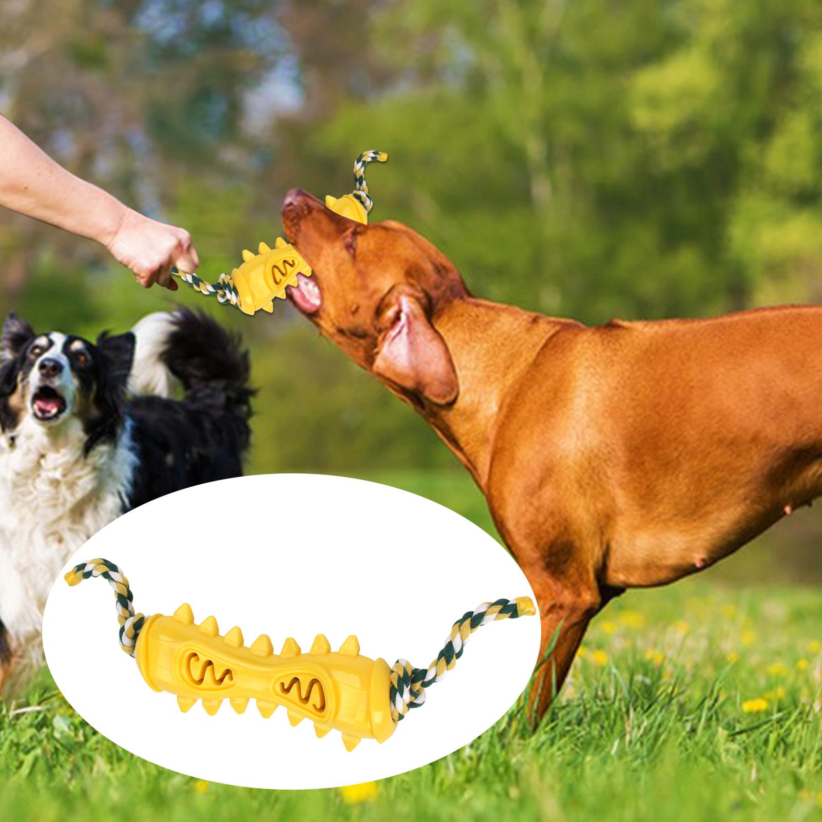 Chew Toys For Aggressive Chewe - Dog Rope Toy Aggressive Chewers ulasan dan harga