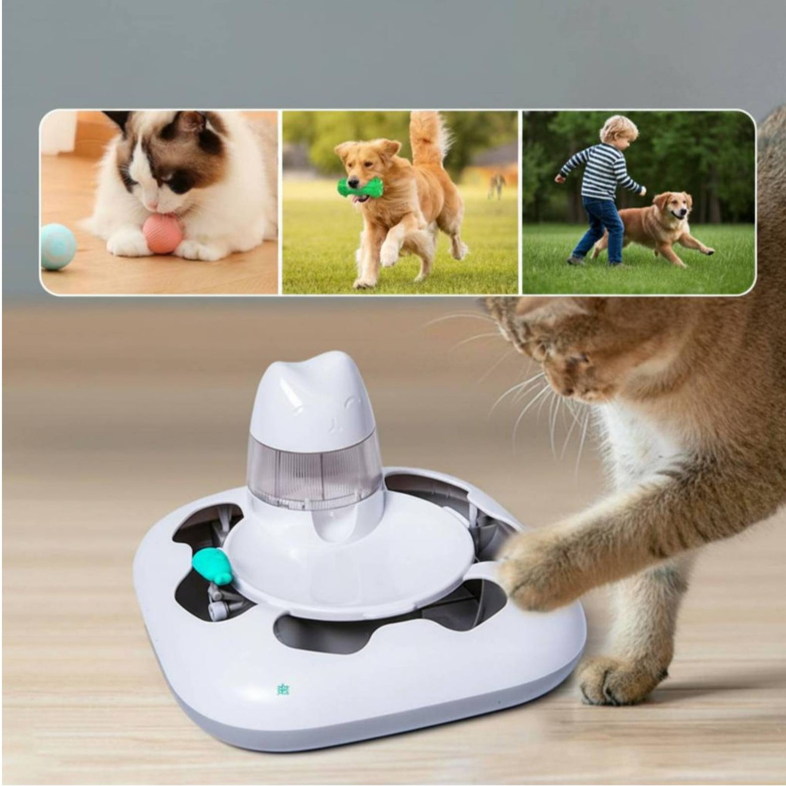 Cat Hunting Game Machine Inter - Cat Toys ulasan dan harga