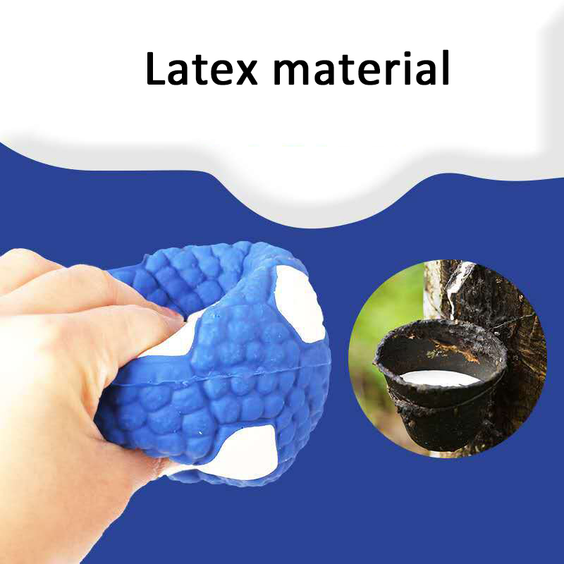 Pet dog toys  Latex soundtrack - Suction Cup Dog Tug Toy ulasan dan harga