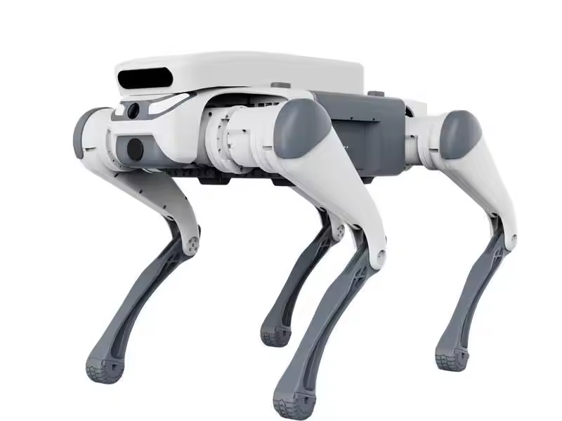 stunt remote control education - Dog Toys ulasan dan harga