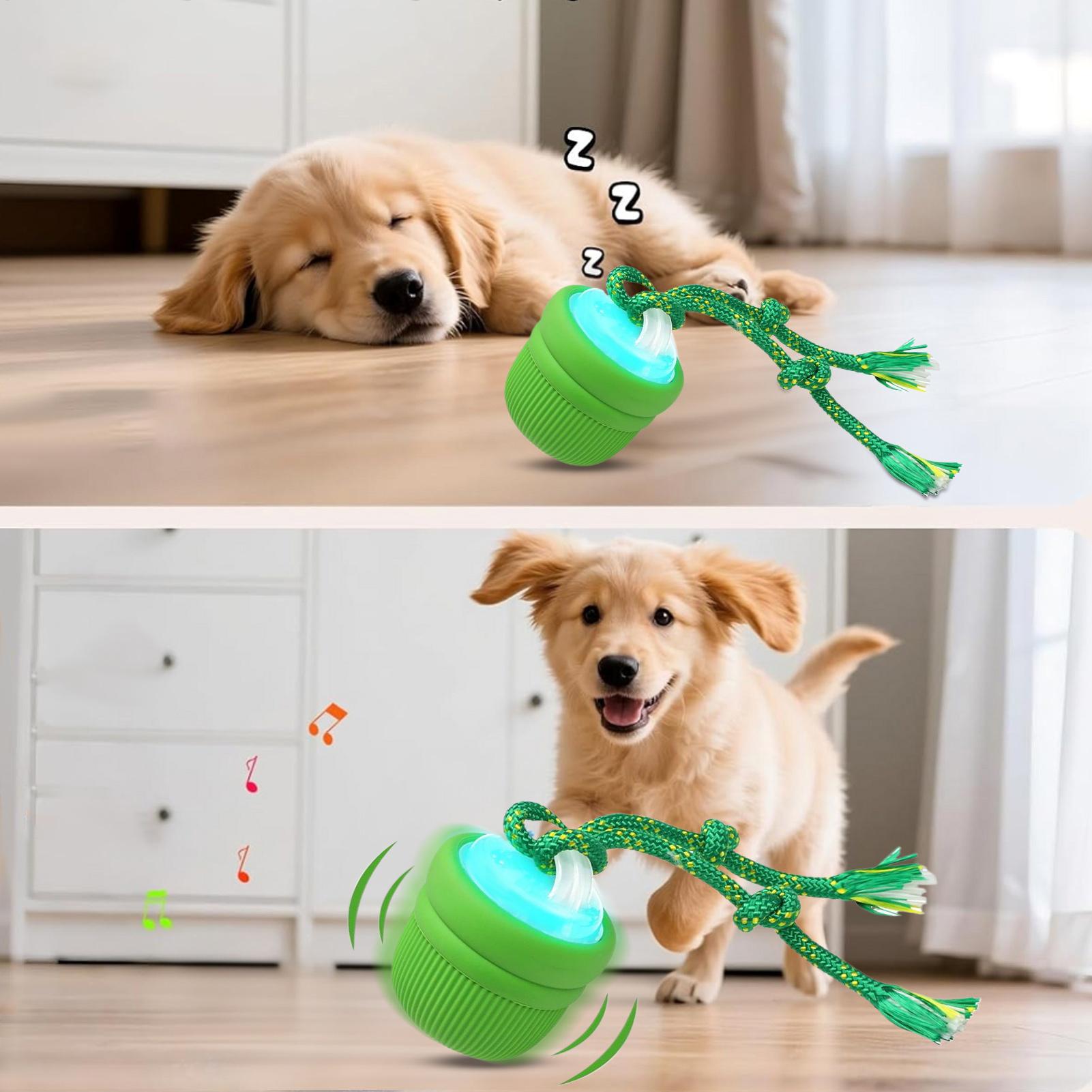 Interactive Dog Ball Automatic - Automatic Moving Dog Ball ulasan dan harga