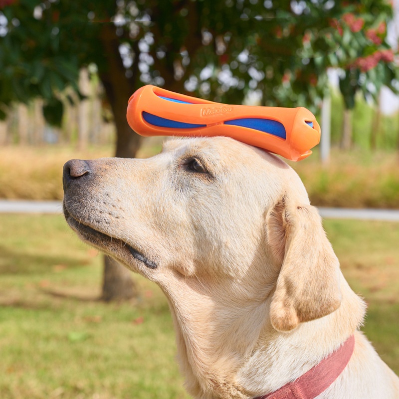 Indestructible Floating Dog Ch - Indestructible Dog Chew Toy ulasan dan harga