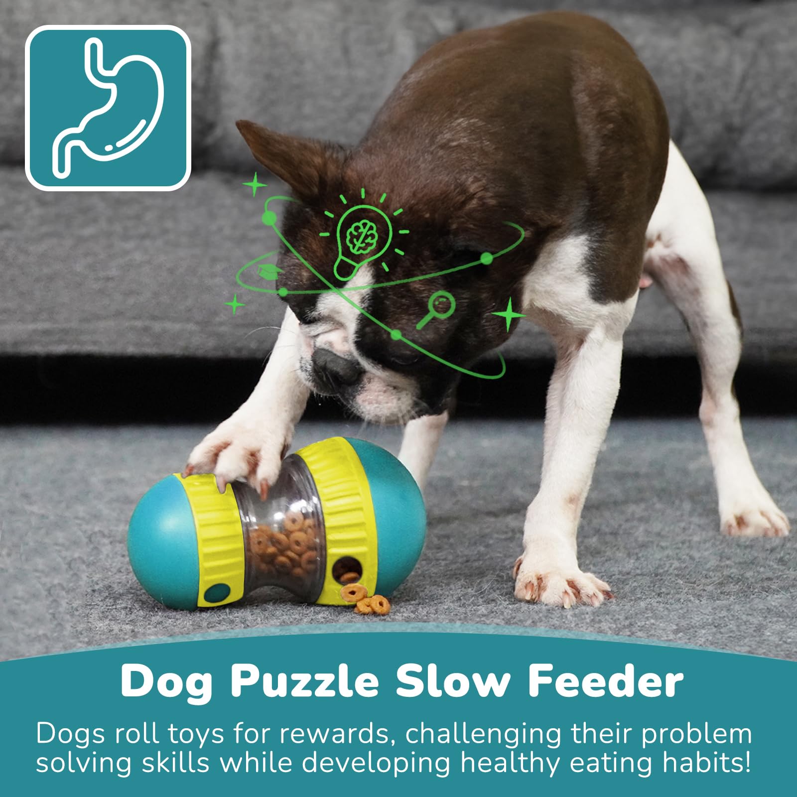 Dog Toys & Adjustable Slow Fee - Dog Puzzle Feeder Toy ulasan dan harga