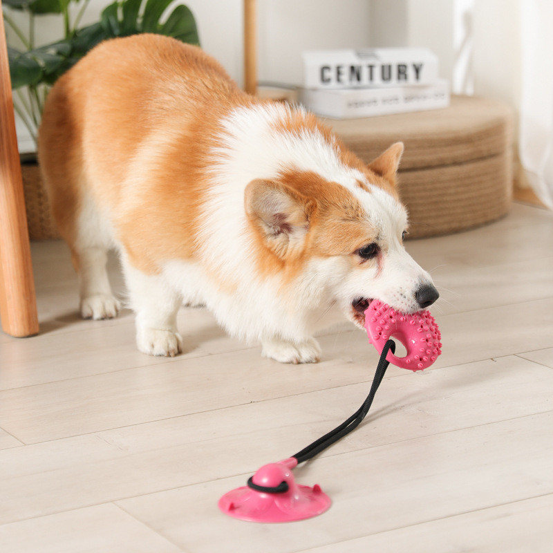 Dog Toys Silicon Suction Cup T - Suction Cup Dog Tug Toy ulasan dan harga