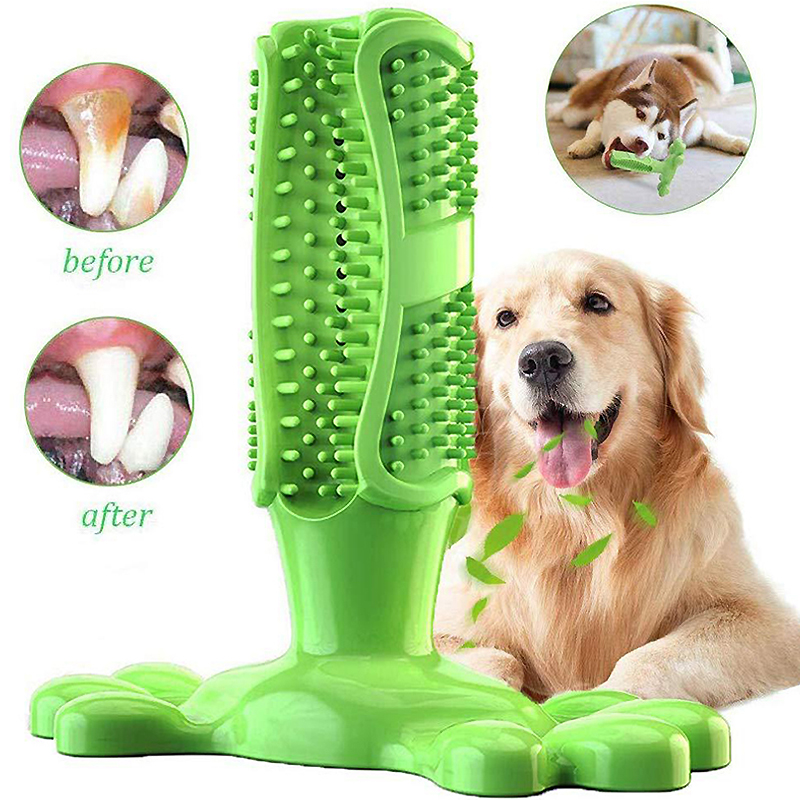 Pet Dog Cactus Interactive Rub - Rubber Treat Dispensing Dog Toy ulasan dan harga