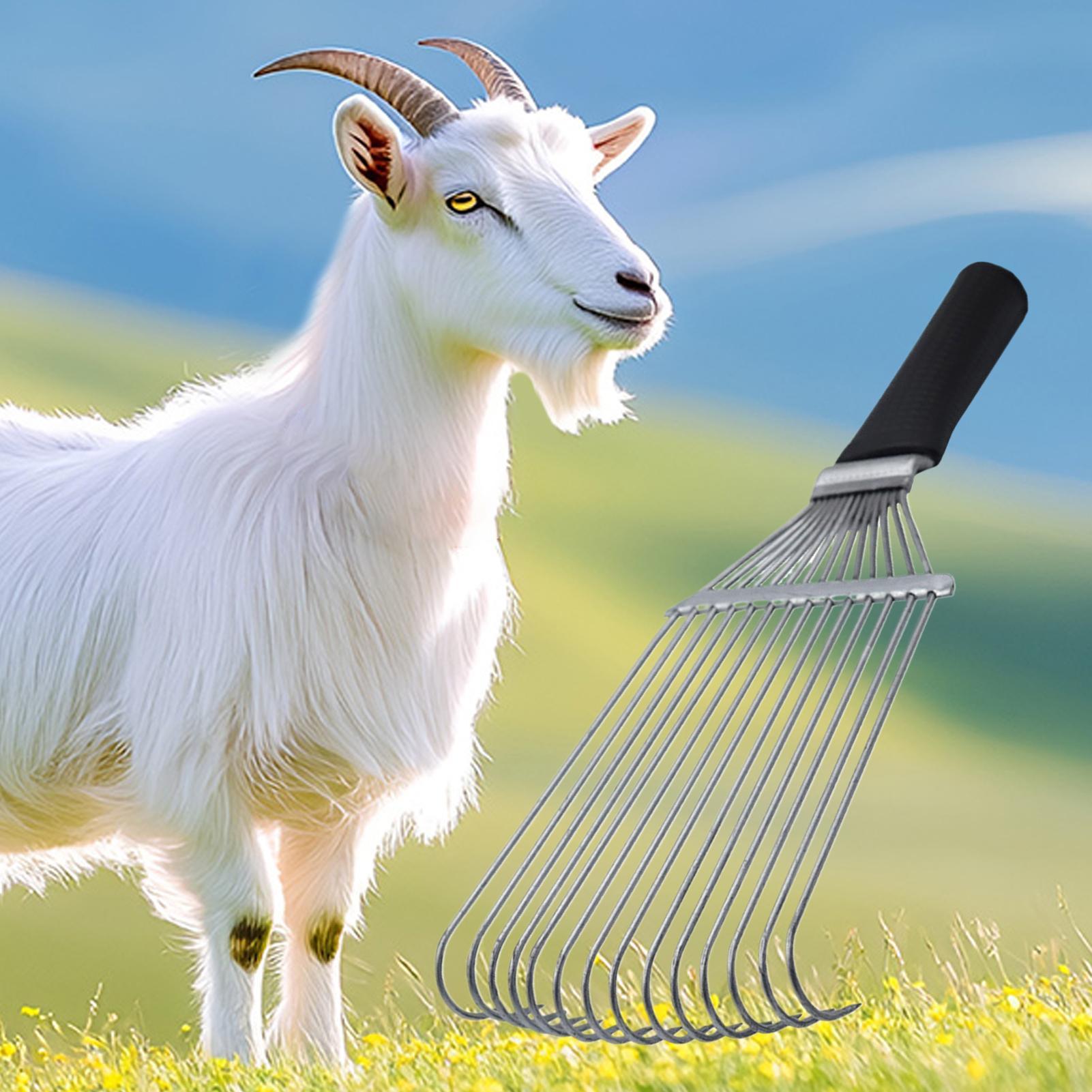 Undercoat Grooming Rake Underc - Pet Grooming ulasan dan harga