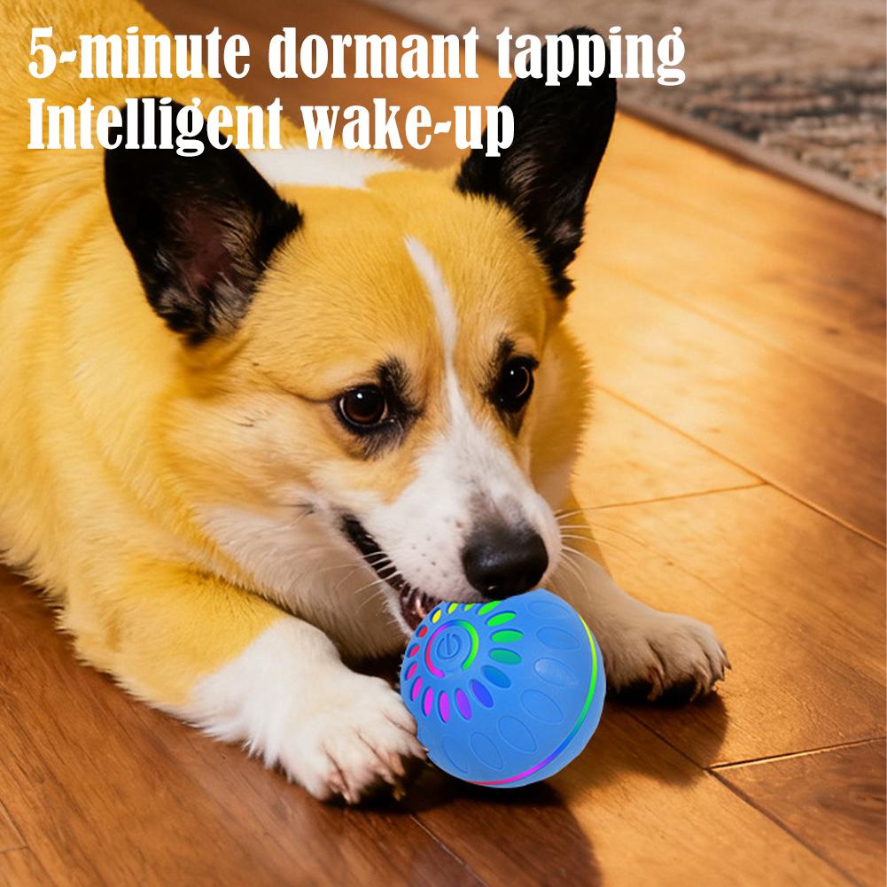 Smart Dog Toy Ball Automatic I - Automatic Moving Dog Ball ulasan dan harga