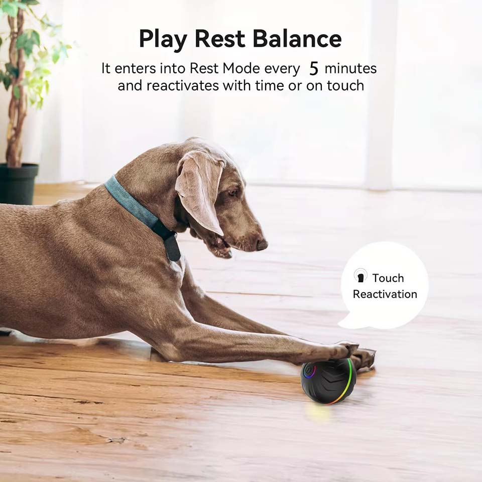 Interactive Smart Dogs Toys Ba - Automatic Moving Dog Ball ulasan dan harga