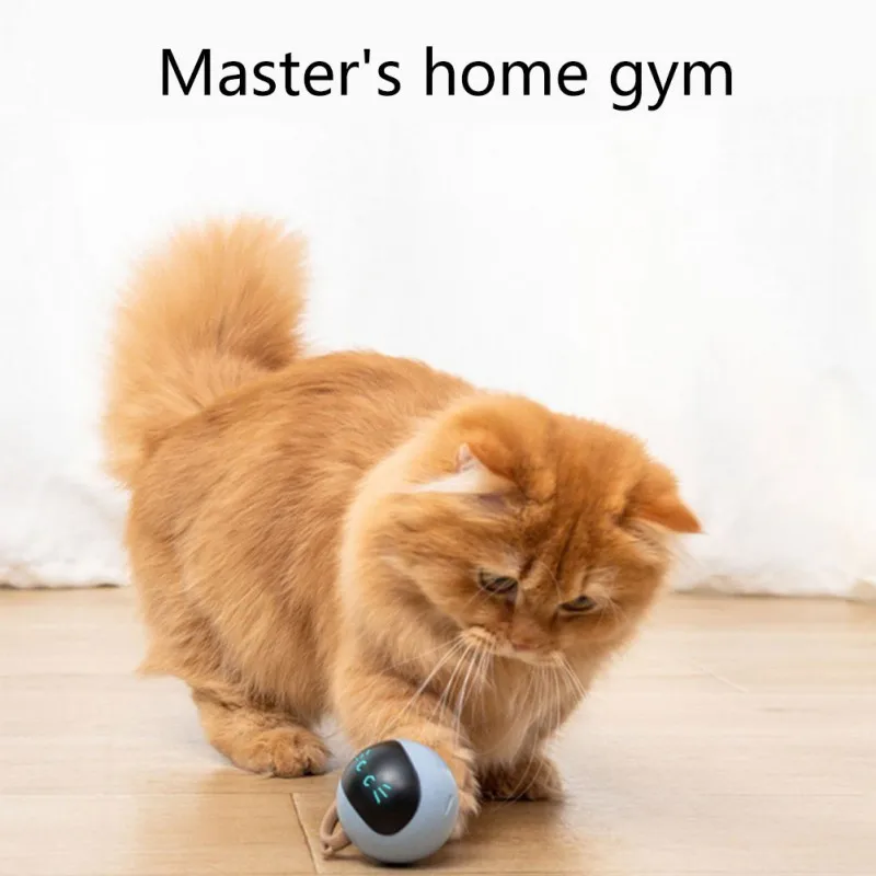 Interactive Cat Ball Toy USB R - Automatic Moving Dog Ball ulasan dan harga