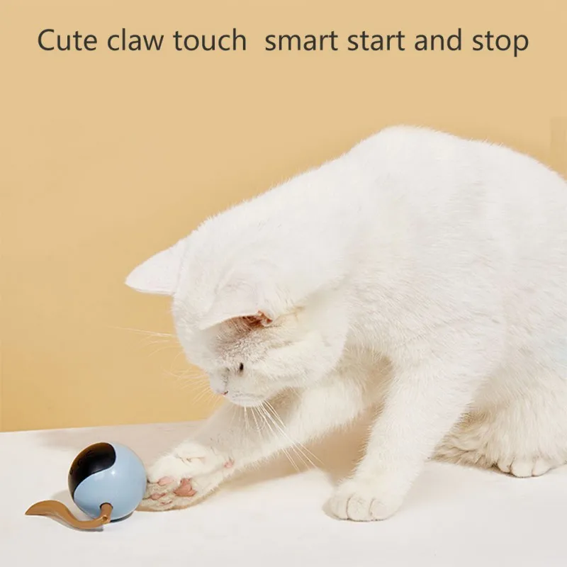 Interactive Cat Ball Toy USB R - Automatic Moving Dog Ball ulasan dan harga