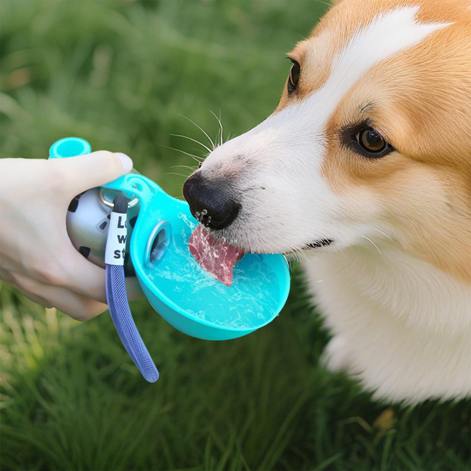 ACG Goods Portable Silicone Pe - Pet Feeders ulasan dan harga