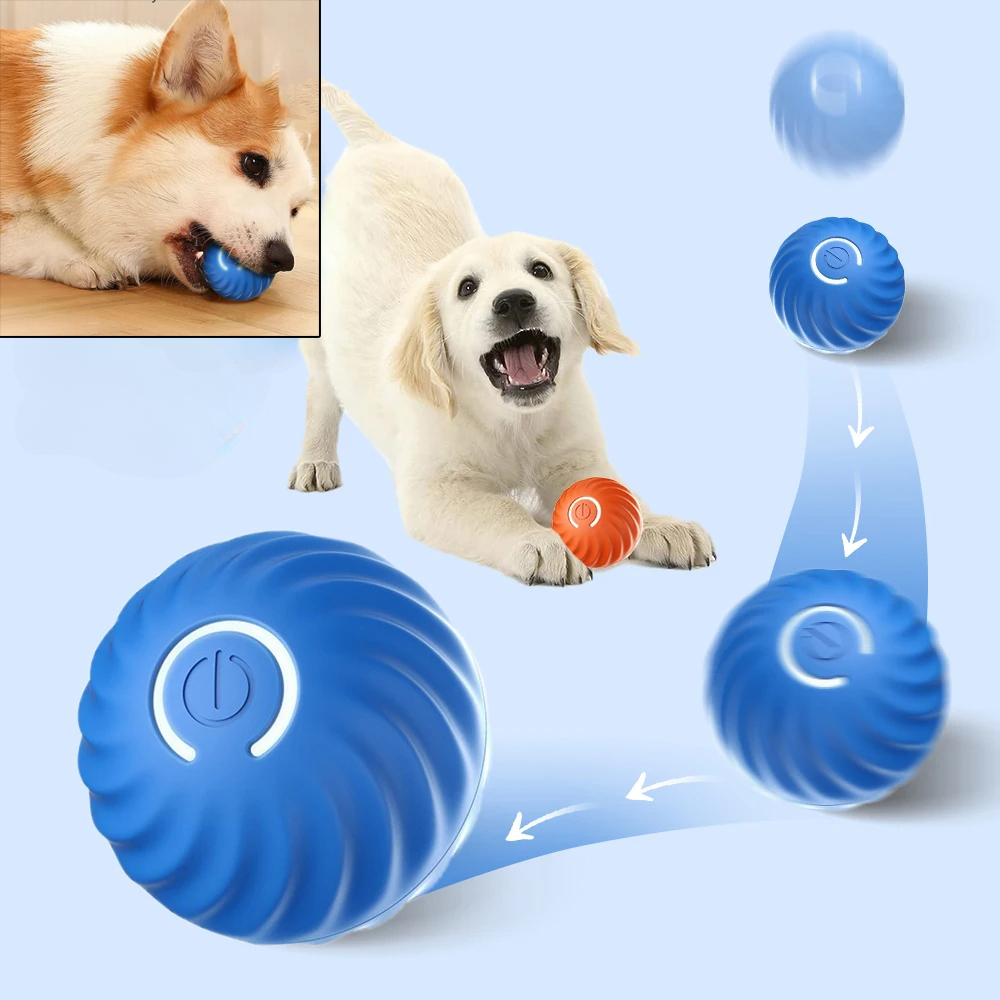 Dog Toy Ball Automatic Moving  - Suction Cup Dog Tug Toy ulasan dan harga