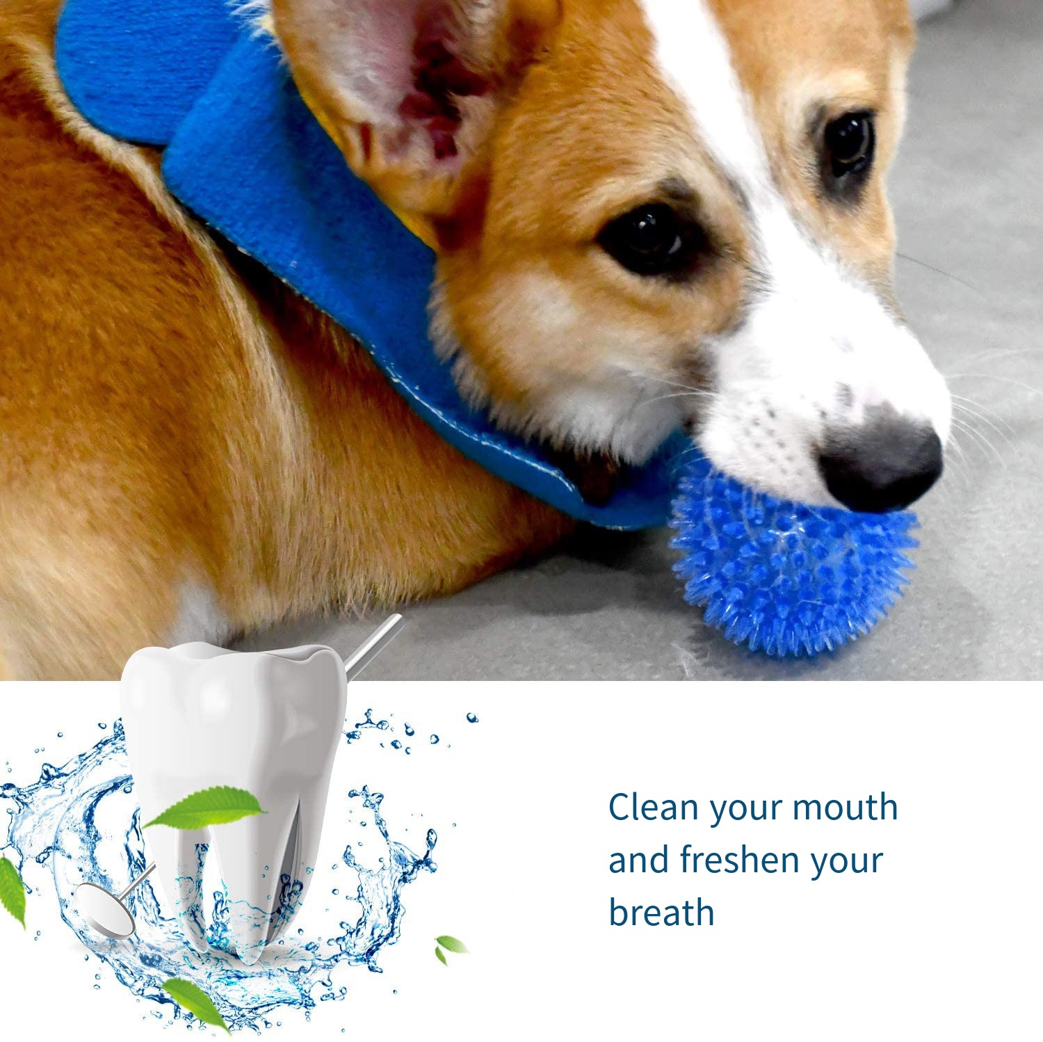 Dog Toys Sound Toy Bouncy Ball - Suction Cup Dog Tug Toy ulasan dan harga