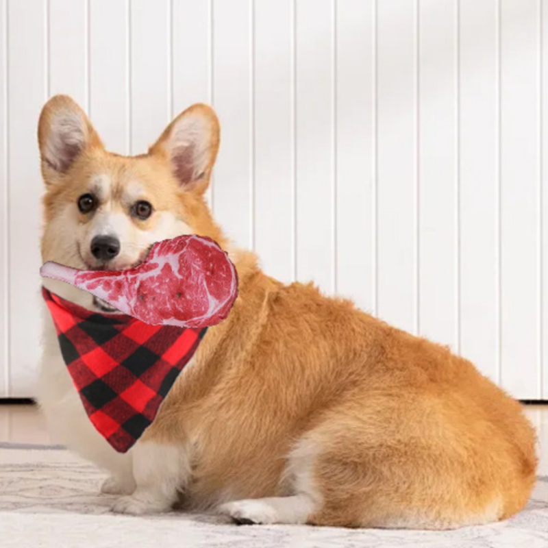 Simulated Steak Squeaky Dog To - Teeth Cleaning Dog Chew Bone ulasan dan harga