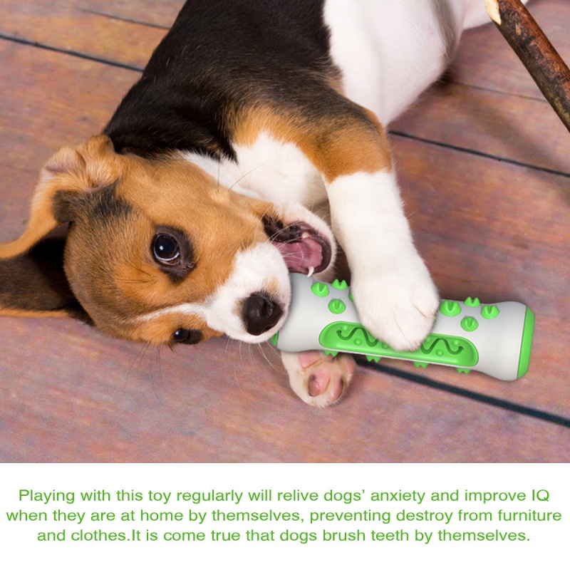 Pet Dog Teething Stick Chewabl - Teeth Cleaning Dog Chew Bone ulasan dan harga