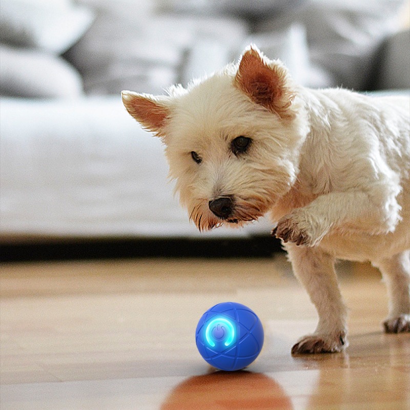 Smart Dog Toy Ball USB Automat - Suction Cup Dog Tug Toy ulasan dan harga