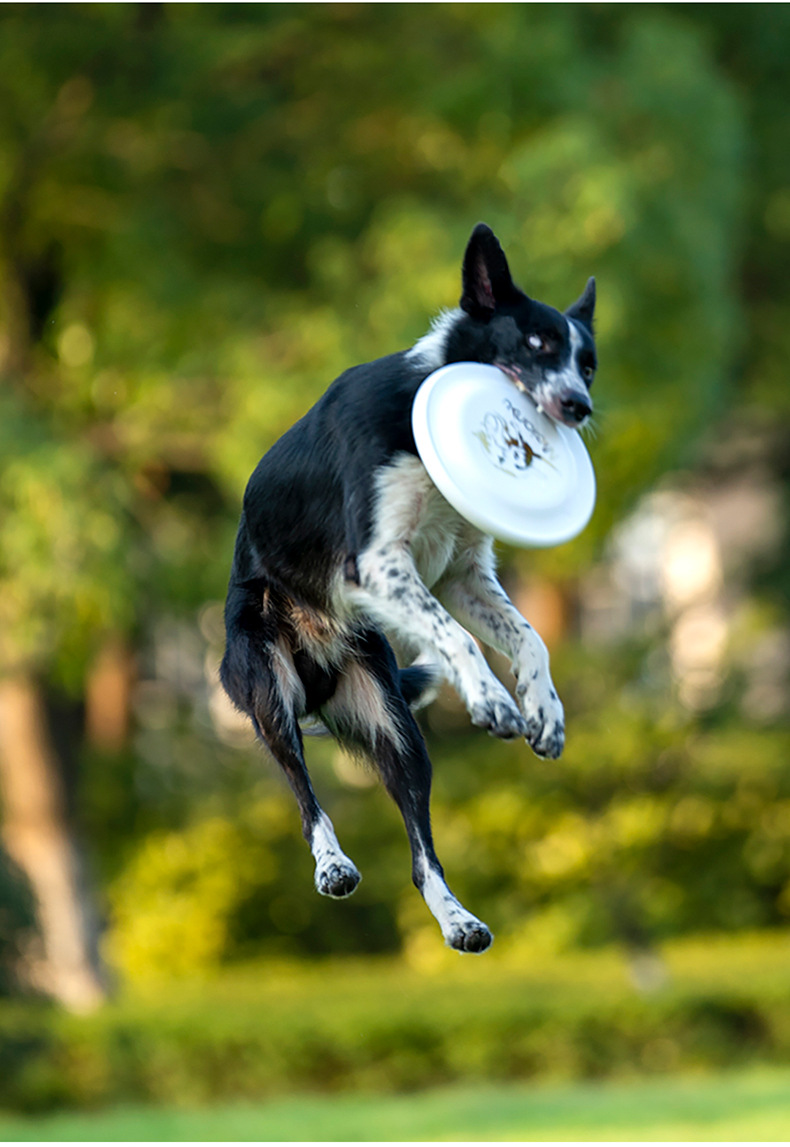 OUZEY Bite Resistant Pet Train - Flying Disc Dog Training Toy ulasan dan harga