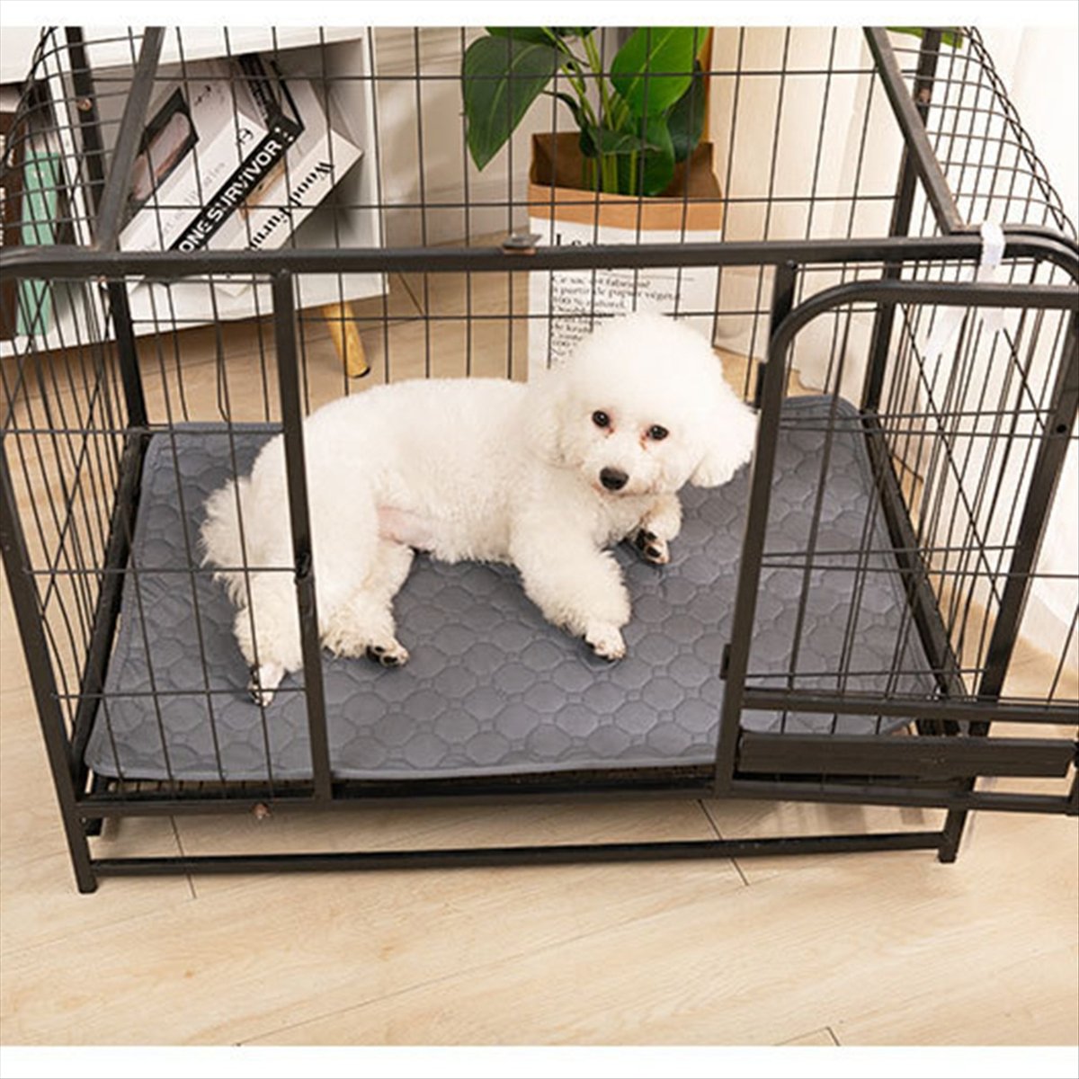 *A14E Reusable Blanket for Dog - Pet Beds ulasan dan harga