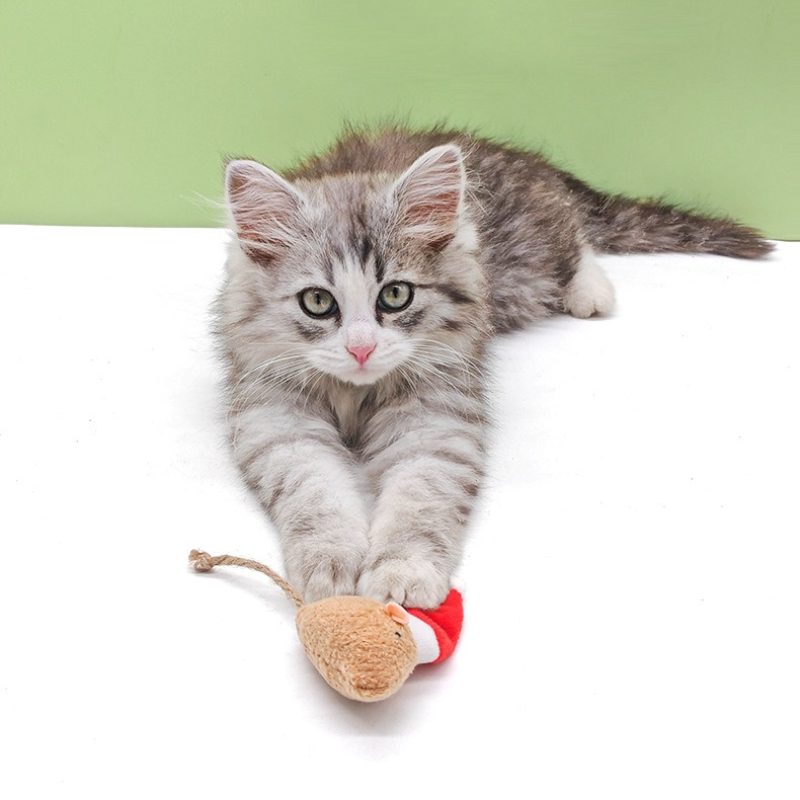5pcs Cat Push Chew Toy Catnip  - Catnip Interactive Plush Mouse ulasan dan harga