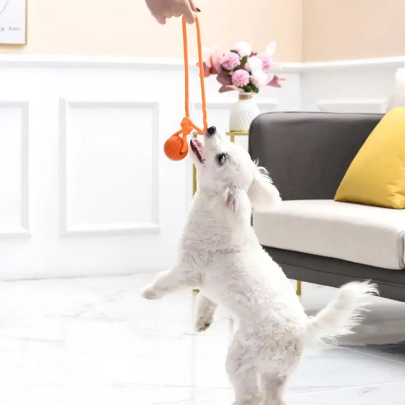 Dog Training Ball on Rope Cott - Suction Cup Dog Tug Toy ulasan dan harga