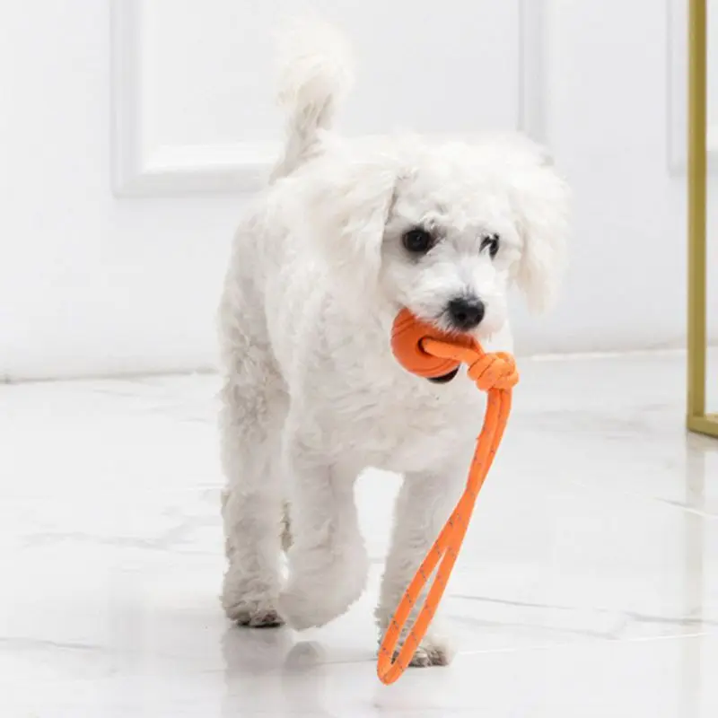 Dog Training Ball on Rope Cott - Suction Cup Dog Tug Toy ulasan dan harga