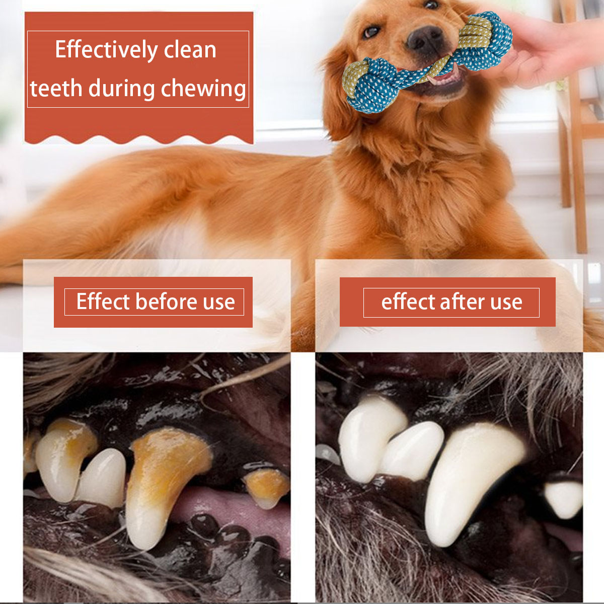 New 7PCS Pet Dog Puppy Double  - Teeth Cleaning Dog Chew Bone ulasan dan harga