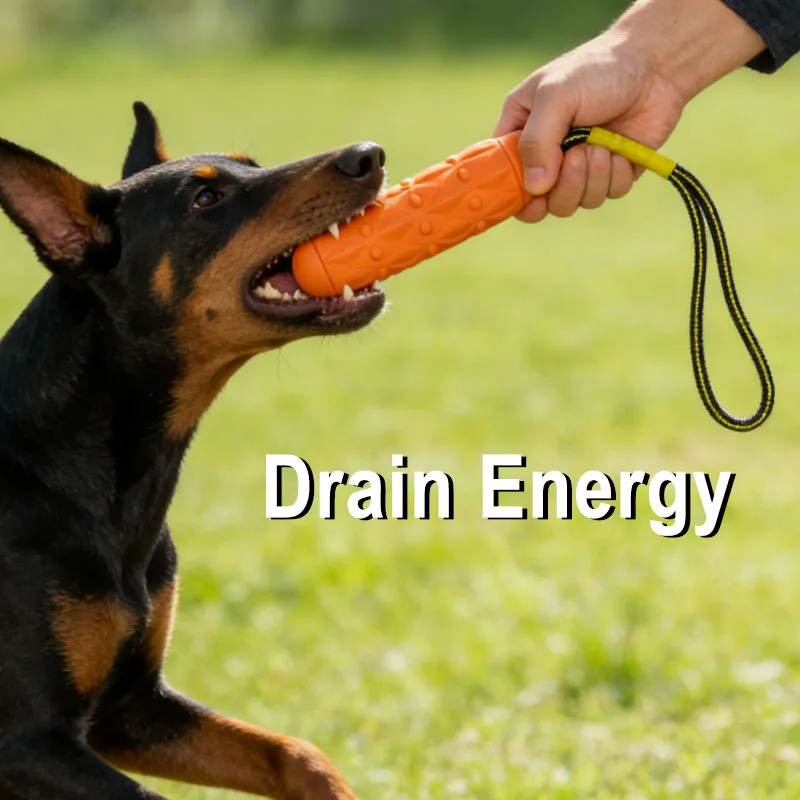 Indestructible Dog Chew Toy EV - Dog Rope Toy Aggressive Chewers ulasan dan harga