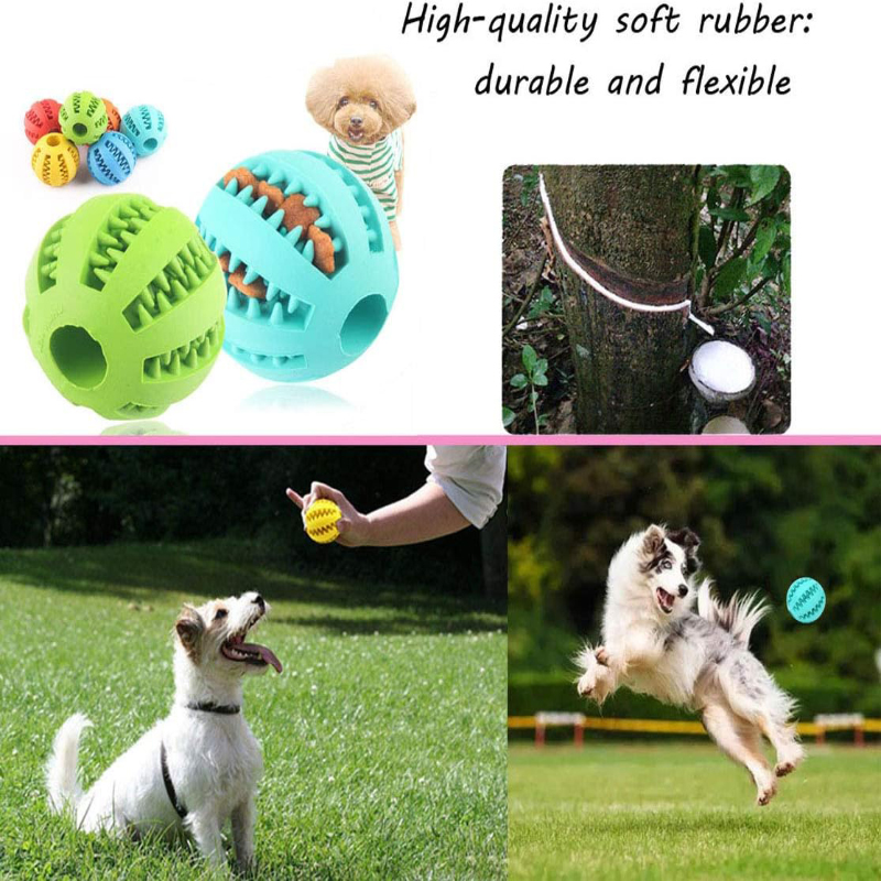 Interactive Nontoxic Bite Resi - Dog Puzzle Feeder Toy ulasan dan harga
