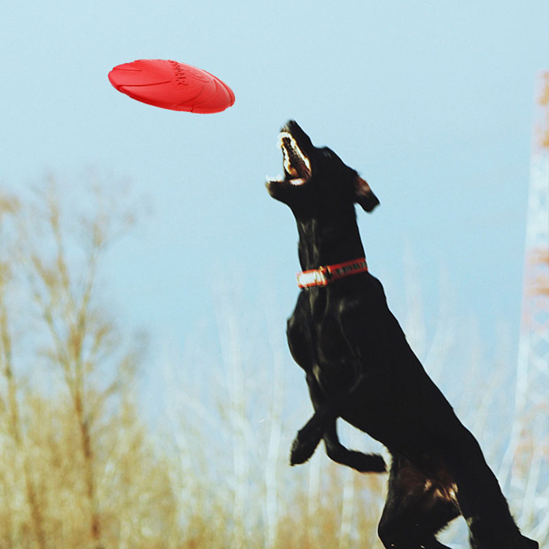 Rubber Pet Dog Flying Discs Sa - Flying Disc Dog Training Toy ulasan dan harga
