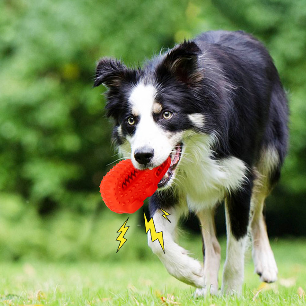 Dog Chew Toy Rubber Bone, Dura - Teeth Cleaning Dog Chew Bone ulasan dan harga