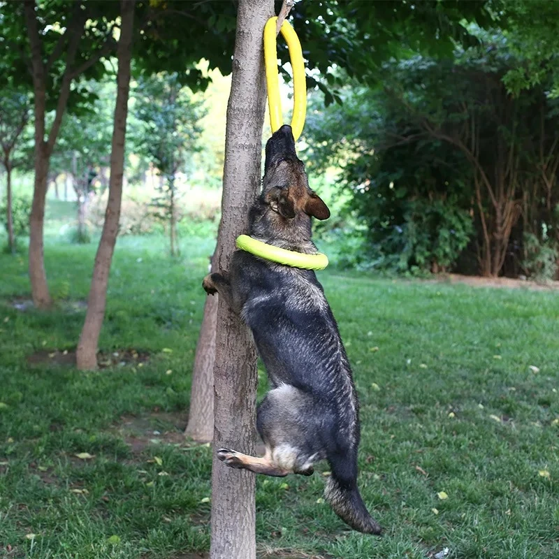 Dog Toys Pet Flying Discs EVA  - Flying Disc Dog Training Toy ulasan dan harga