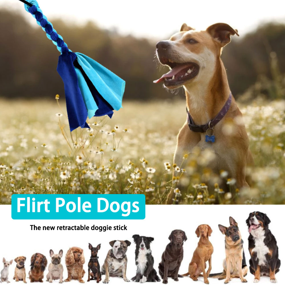 Retractable Dog Stick Interact - Interactive Squeaky Plush Dog Toy ulasan dan harga