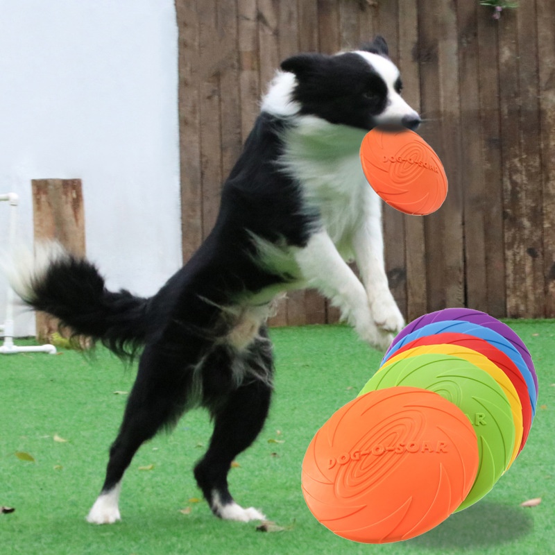 Interactive Silicone Flying Sa - Flying Disc Dog Training Toy ulasan dan harga