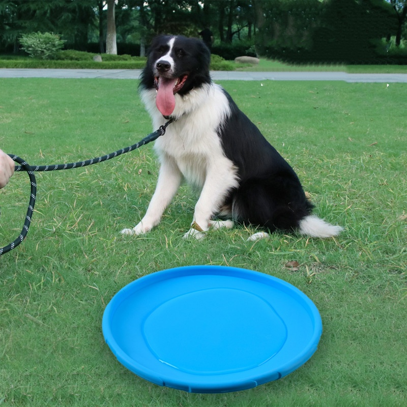 Interactive Silicone Flying Sa - Flying Disc Dog Training Toy ulasan dan harga
