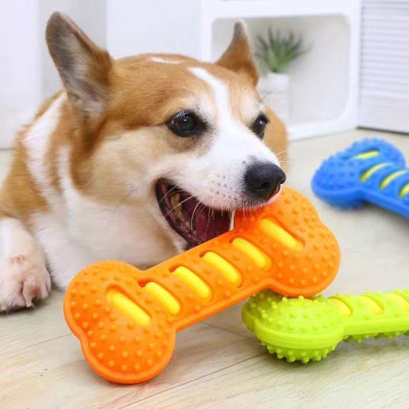 Durable Rubber Dog Chew Toy Sq - Teeth Cleaning Dog Chew Bone ulasan dan harga