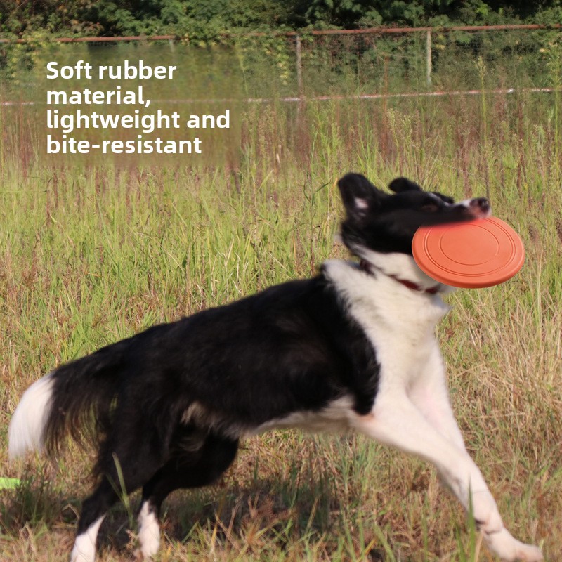 Bite Resistant Floating Soft P - Flying Disc Dog Training Toy ulasan dan harga