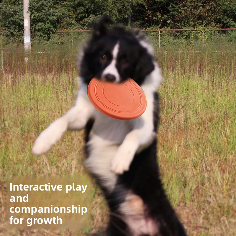 Bite Resistant Floating Soft P - Flying Disc Dog Training Toy ulasan dan harga
