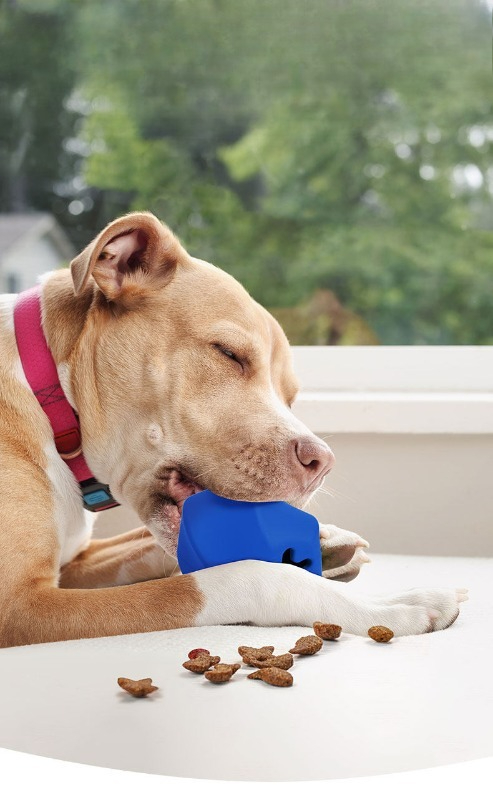Durable Rubber Dog Treat Dispe - Rubber Treat Dispensing Dog Toy ulasan dan harga