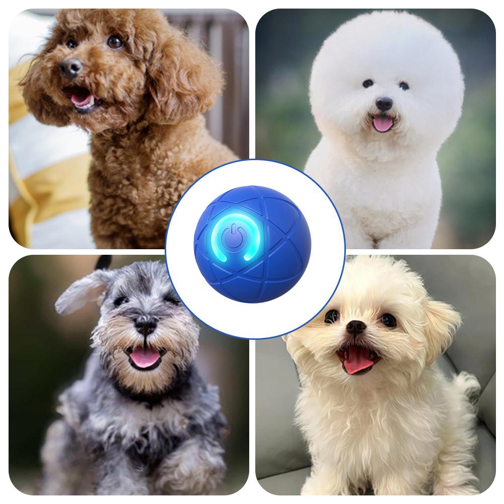 Electronic Interactive Pet Toy - Automatic Moving Dog Ball ulasan dan harga