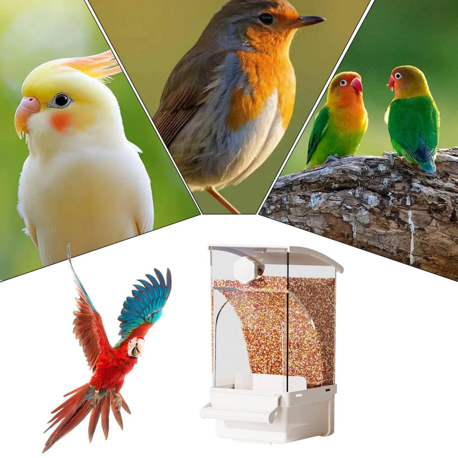 Automatic Avian Feeder Husk Se - Pet Feeders ulasan dan harga