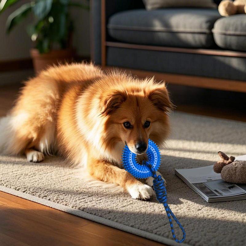 Squeaky Toys For Dogs Spiky Ri - Dog Rope Toy Aggressive Chewers ulasan dan harga