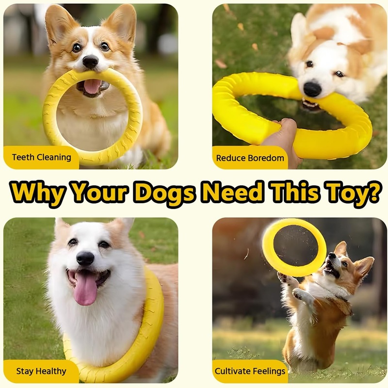 Dog Toys Pet Flying Discs EVA  - Flying Disc Dog Training Toy ulasan dan harga