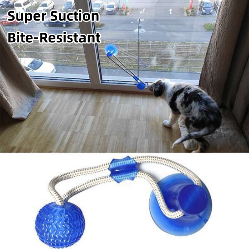 Durable Suction Cup Dog Tug To - Suction Cup Dog Tug Toy ulasan dan harga
